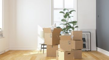fantastic movers colorado