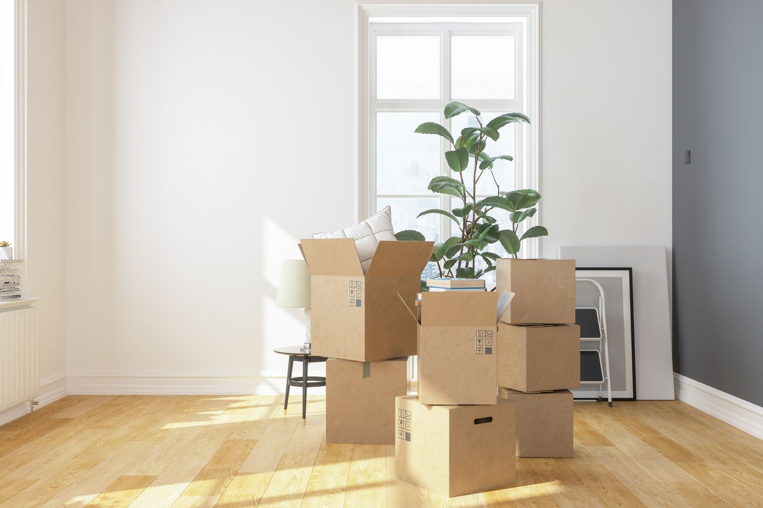fantastic movers colorado
